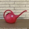1/2 Gal Watering Can Red Novelty 2 1/2 Gal Watering Can Red Novelty -ANZ Trees Shop 1 2 gal watering can red novelty
