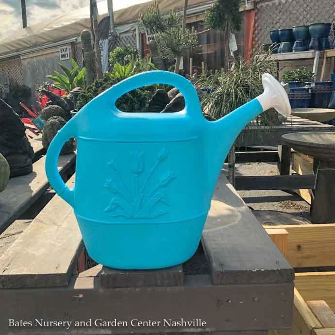 2 Gal Watering Can Caribbean Blue Plastic Union 3 2 Gal Watering Can Caribbean Blue Plastic Union