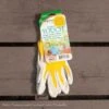 Bellingham Gloves Nitrile Touch Small Asst 2 Bellingham Gloves Nitrile Touch Small Asst -ANZ Trees Shop bellingham gloves nitrile touch small asst