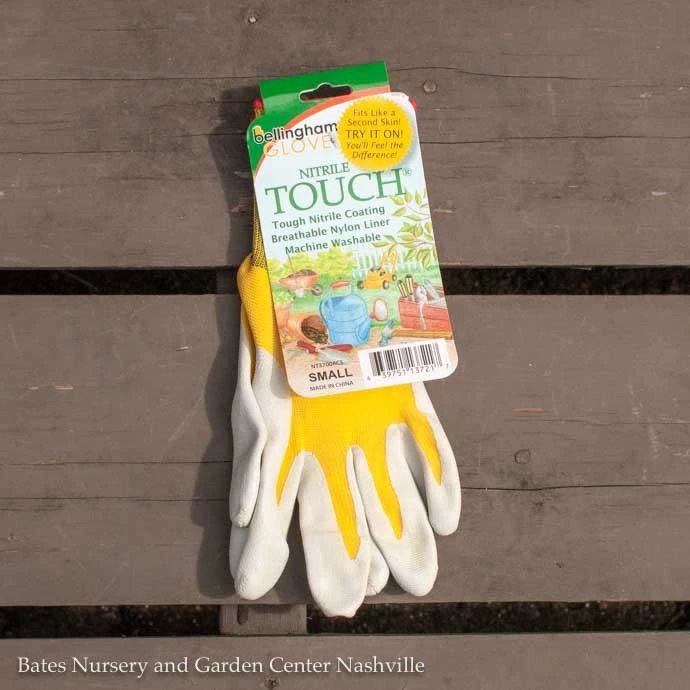 Bellingham Gloves Nitrile Touch Small Asst 3 Bellingham Gloves Nitrile Touch Small Asst