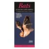 Booklet Bats Of Tennessee Quick Reference Guide 2 Booklet Bats Of Tennessee Quick Reference Guide -ANZ Trees Shop booklet bats of tennessee quick reference guide
