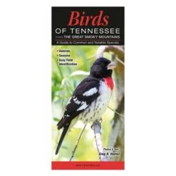 Booklet Birds Of Tennessee Quick Reference Guide