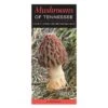 Booklet Mushrooms Of Tennessee Quick Reference Guide 2 Booklet Mushrooms Of Tennessee Quick Reference Guide -ANZ Trees Shop booklet mushrooms of tennessee quick reference gui