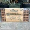 Coconut Coir Pot Greenhouse Seed Starter Kit 50 Cells PlantBest 2 Coconut Coir Pot Greenhouse Seed Starter Kit 50 Cells PlantBest -ANZ Trees Shop coconut coir pot greenhouse seed starter kit 50 ce