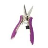 Compact Shear Dramm Colorpoint Purple -ANZ Trees Shop compact shear dramm colorpoint purple