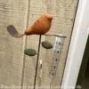 Rain Gauge Stake Ceramic Bird Spice W/Copper Tail 7x30 (#2) 2 Rain Gauge Stake Ceramic Bird Spice W/Copper Tail 7x30 (#2) -ANZ Trees Shop rain gauge stake ceramic bird spice w copper tail