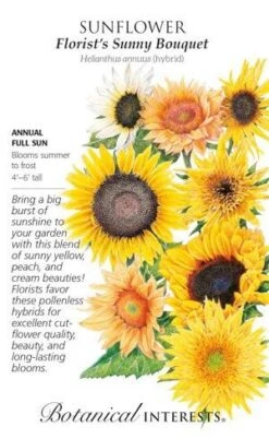 Seed Sunflower Florist's Bouquet - Helianthus Annuus (hybrid) - Lrg Pkt