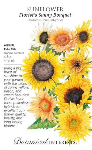 Seed Sunflower Florist's Bouquet - Helianthus Annuus (hybrid) - Lrg Pkt 3 Seed Sunflower Florist's Bouquet - Helianthus Annuus (hybrid) - Lrg Pkt