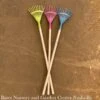 Tool Bloom Kids Long Handle Rake Metal Handle Asst Bond -ANZ Trees Shop tool bloom kids long handle rake metal handle asst