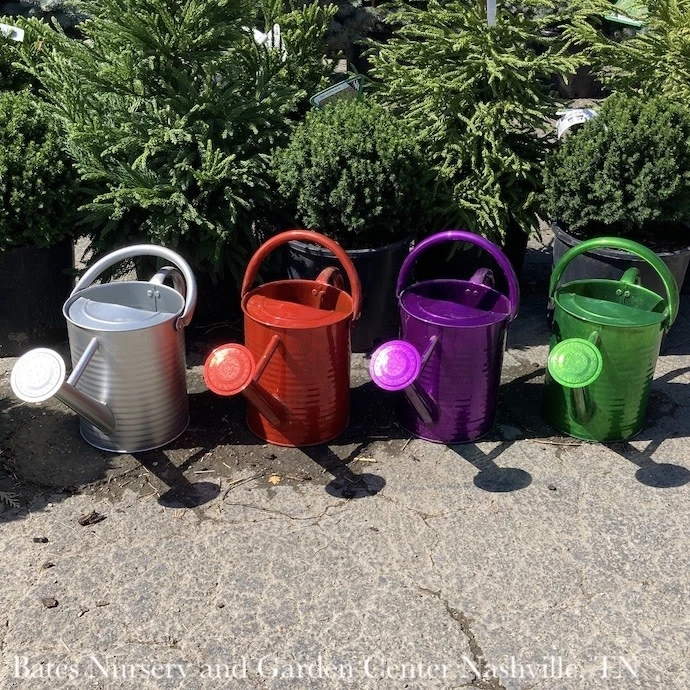 Watering Can 1Gal Traditional Metallic Colors Asst Panacea 3 Watering Can 1Gal Traditional Metallic Colors Asst Panacea